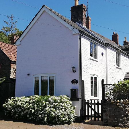 Rose Cottage Chard Luaran gambar