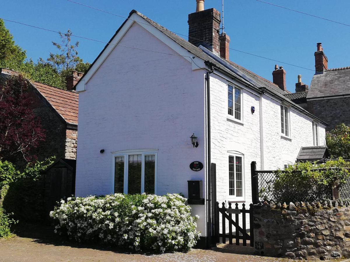 Rose Cottage Chard Luaran gambar
