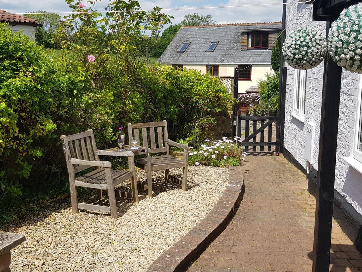 Rose Cottage Chard Luaran gambar